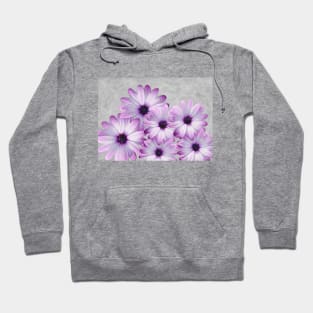 Purple Daisies and Gray Hoodie